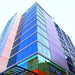 Hotel Bengal Blueberry